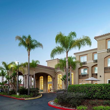 פוואי Hilton Garden Inn San Diego/Rancho Bernardo מראה חיצוני תמונה